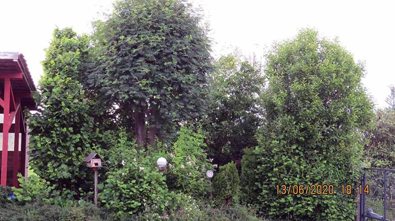 Casa Roja Villa Hilders Екстериор снимка